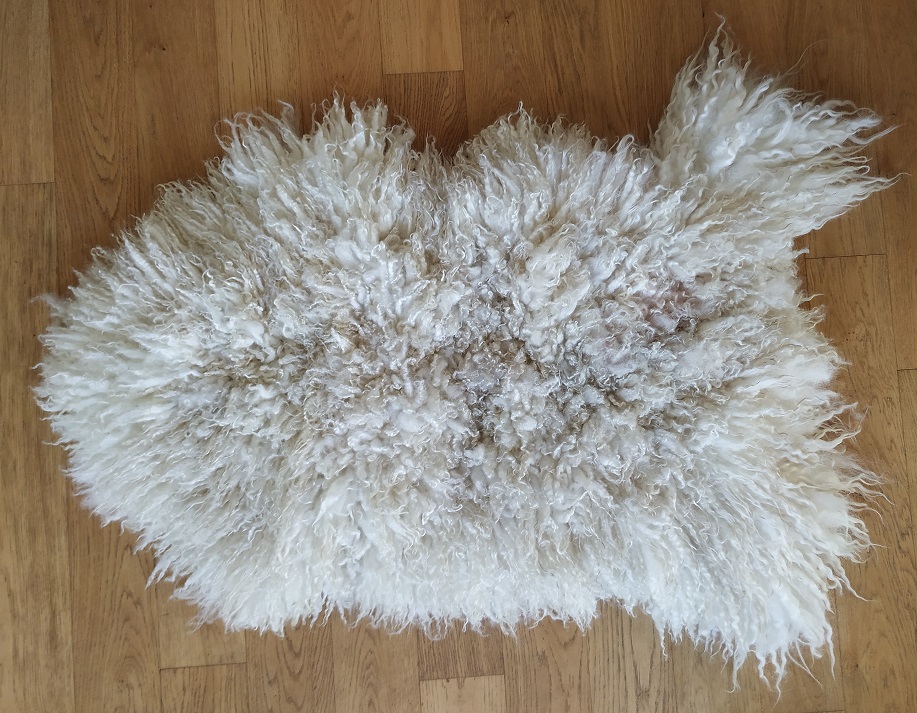 Felted-fleece, sheep-friendly “sheepskin” rug – natural cream – North Country Cheviot Mule Hog fleece – 37” x 24” - Image 2