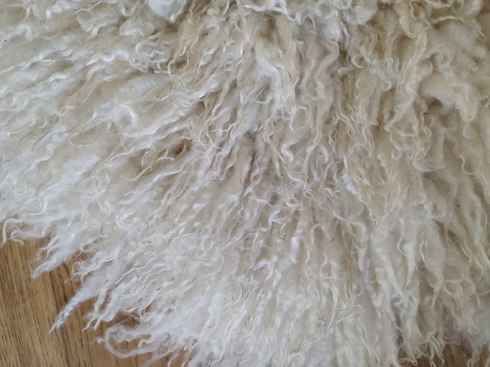 Felted-fleece, sheep-friendly “sheepskin” rug – natural cream – North Country Cheviot Mule Hog fleece – 37” x 24” - Image 5