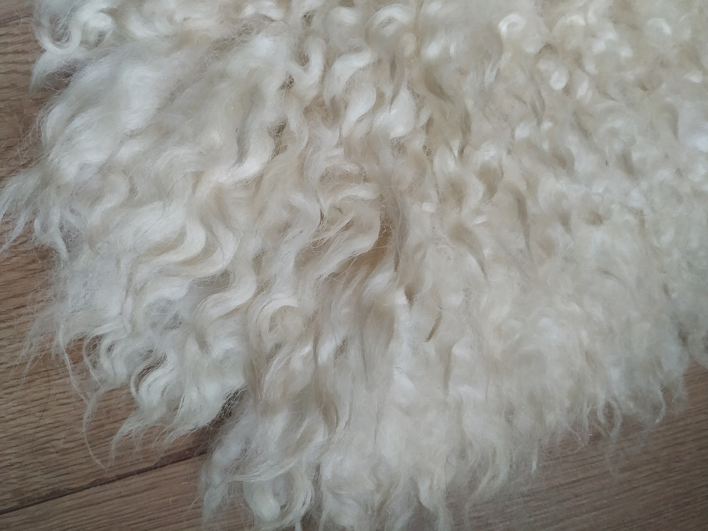 Felted-fleece “sheepskin” rug – natural ivory – Blue Faced Leicester fleece – 40” x 25” - Image 6