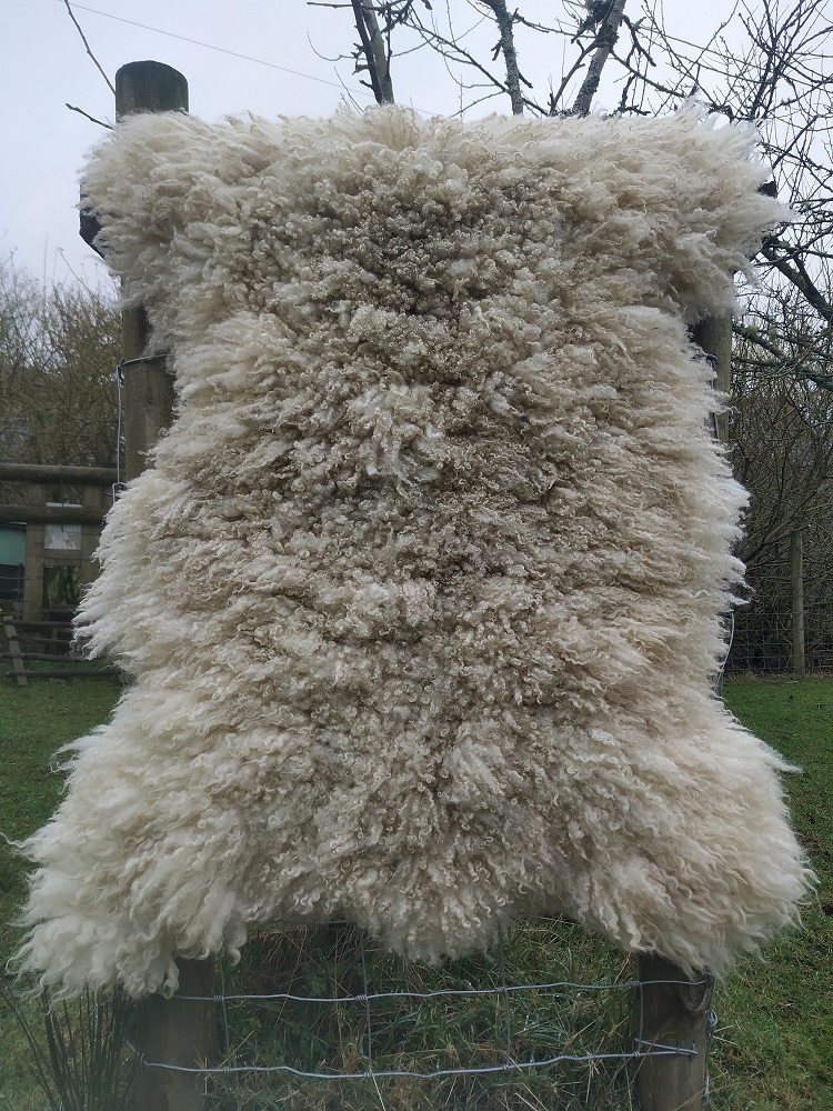 Felted-fleece “sheepskin” rug – natural ivory – Blue Faced Leicester fleece – 40” x 25”