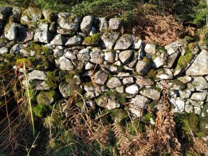 dry stone dyke damage to top