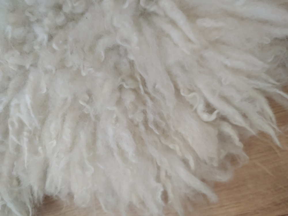 Felted-fleece “sheepskin” rug – natural creamy-white – Cheviot hog (shearling) fleece – 34” x 26” - Image 3