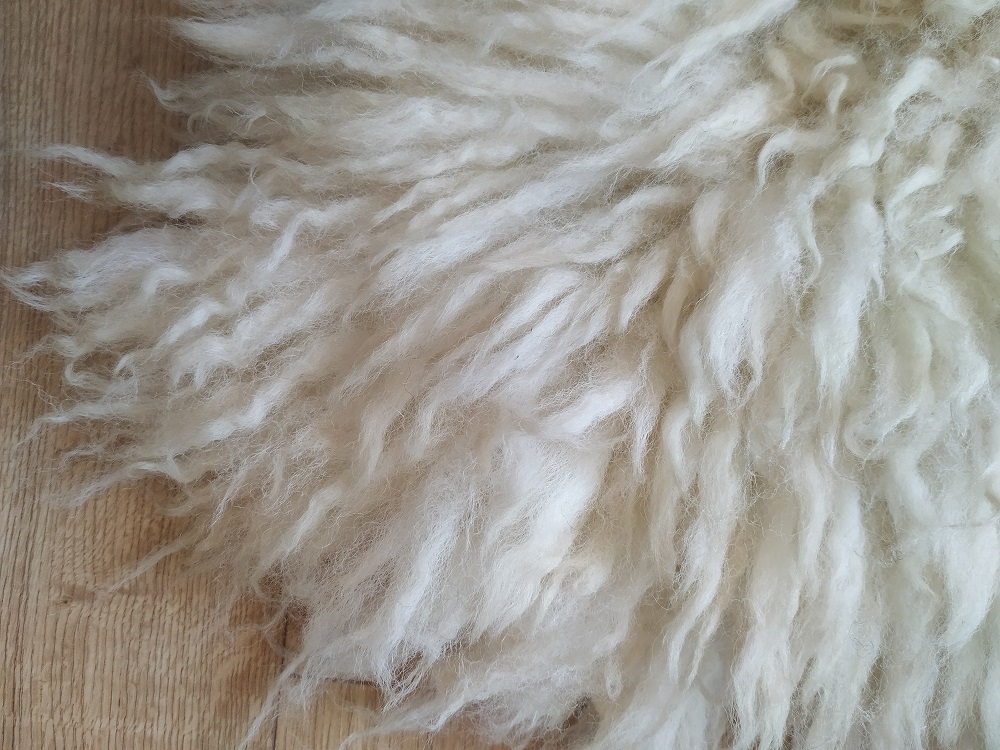 Felted-fleece “sheepskin” rug – natural creamy-white – Cheviot hog (shearling) fleece – 34” x 26” - Image 4