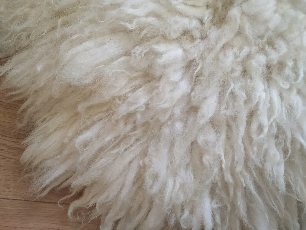 Felted-fleece “sheepskin” rug – natural creamy-white – Cheviot hog (shearling) fleece – 34” x 26” - Image 5