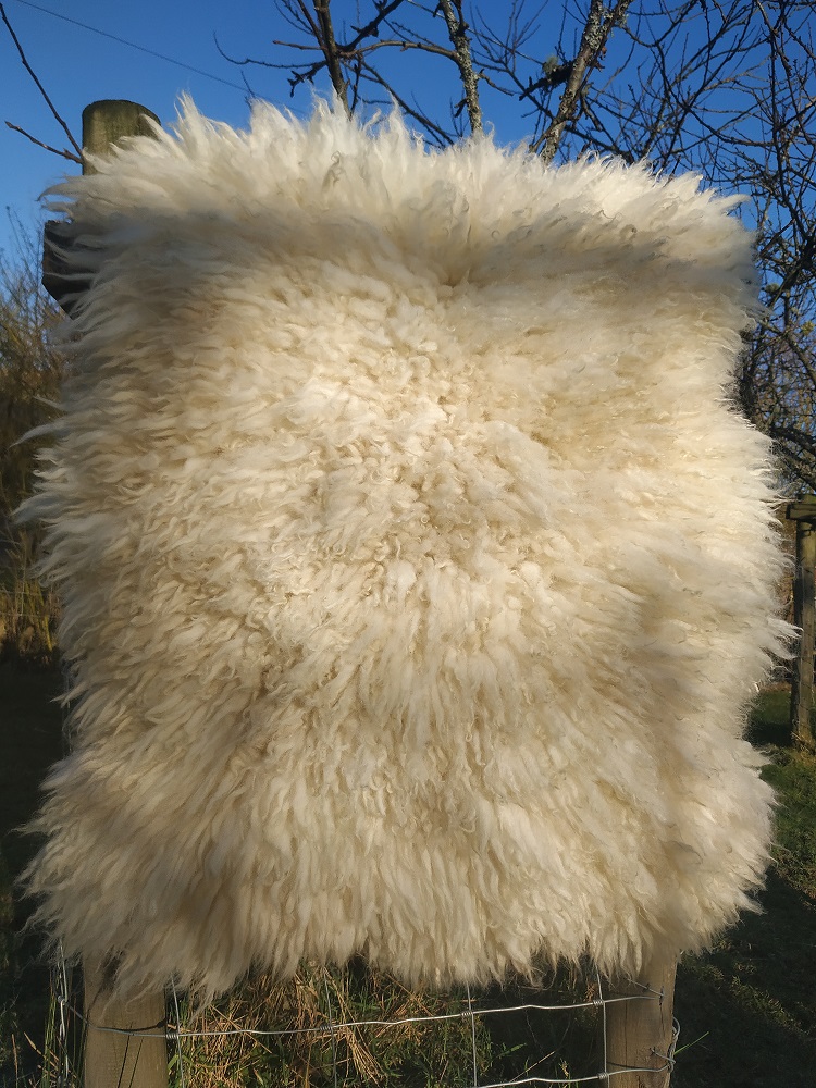 Felted-fleece “sheepskin” rug – natural creamy-white – Cheviot hog (shearling) fleece – 34” x 26”
