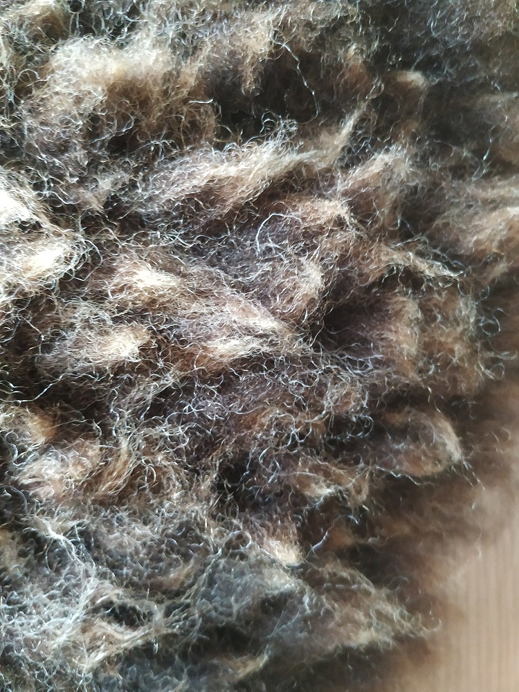 Felted-fleece sheep-friendly “sheepskin” rug – shades of brown & creamy-white – rare breed - Jacob fleece – 25” x 17” - Image 4