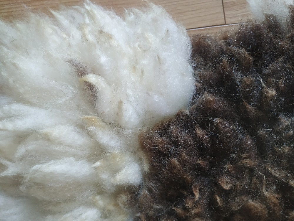 Felted-fleece sheep-friendly “sheepskin” rug – shades of brown & creamy-white – rare breed - Jacob fleece – 25” x 17” - Image 5