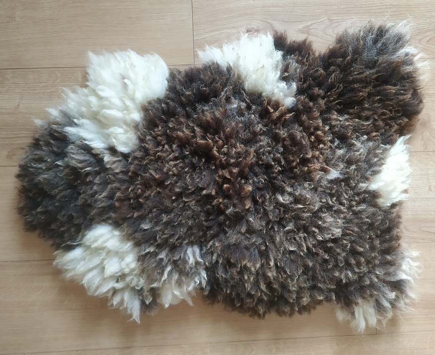 Felted-fleece sheep-friendly “sheepskin” rug – shades of brown & creamy-white – rare breed - Jacob fleece – 25” x 17” - Image 2