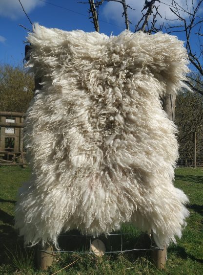 Felted Fleece Workshop