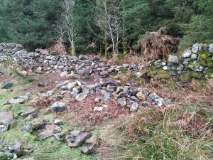 drystane dyke repairs