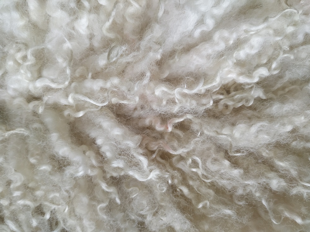 Felted-fleece, sheep-friendly, “sheepskin” rug – natural palest creamy-white – Scotch Mule hog fleece – 34” x 21” - Image 7