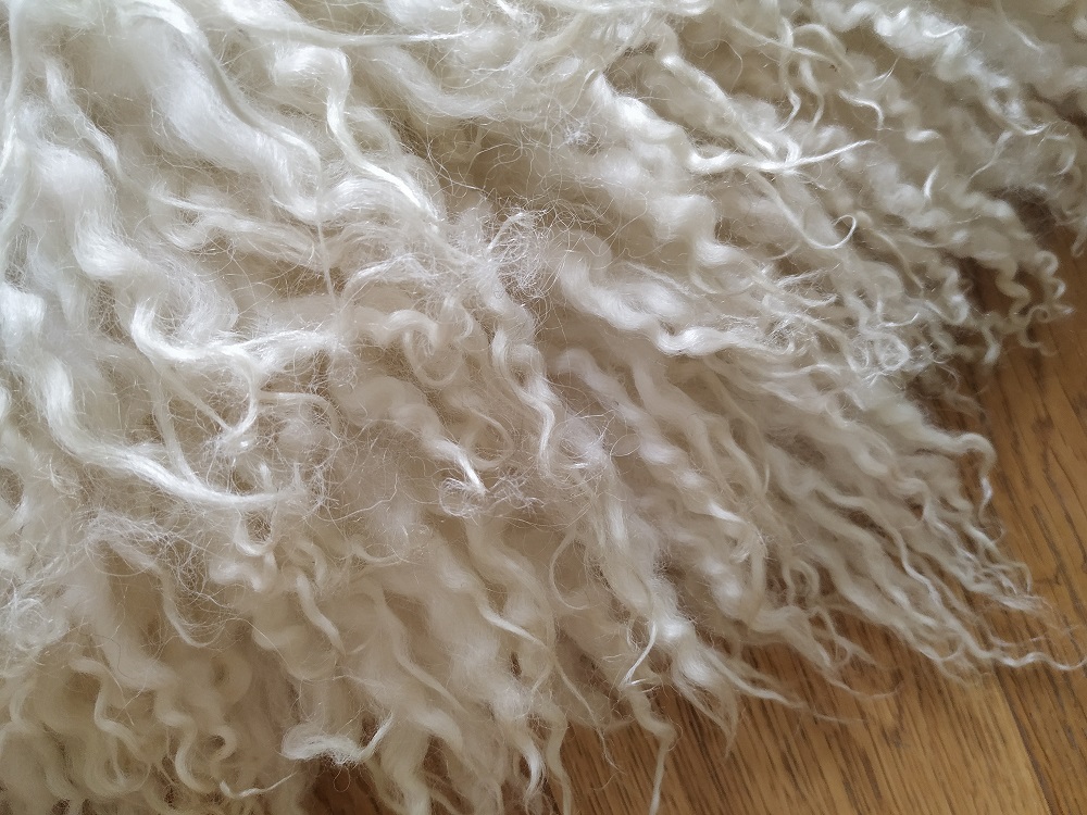 Felted-fleece, sheep-friendly, “sheepskin” rug – natural palest creamy-white – Scotch Mule hog fleece – 34” x 21” - Image 4