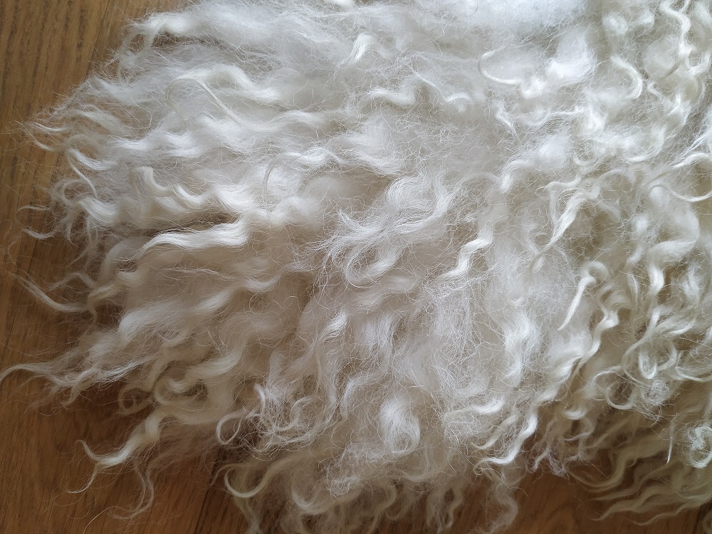 Felted-fleece, sheep-friendly, “sheepskin” rug – natural palest creamy-white – Scotch Mule hog fleece – 34” x 21” - Image 5