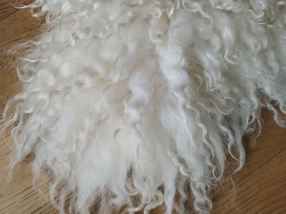 Felted-fleece, sheep-friendly, “sheepskin” rug – natural palest creamy-white – Scotch Mule hog fleece – 34” x 21” - Image 6