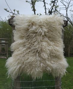 Scotch Mule hog felted fleece rug all finished and fabulous!