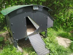 Chicken Coop - Green Frog