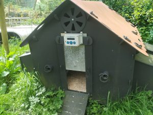 Chicken Coop - Solway