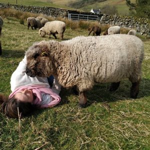 getting to know the flock