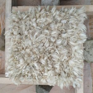 wool laid out ready to be felted