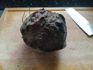 beetroot nibbled