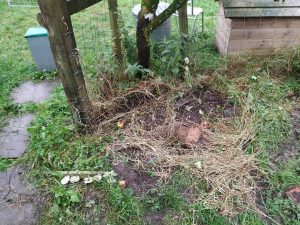 bye bye electric fence