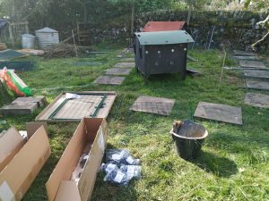hen central - boxes opened omlet chicken run