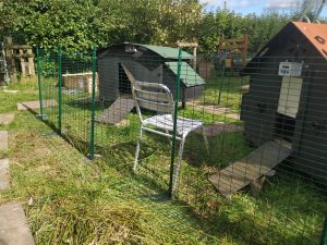 hen central - level one omlet chicken run