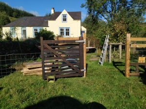 hen central - new gate and fence