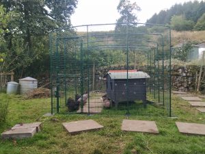 hen central - omlet walk in run complete