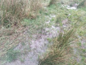 more puddles