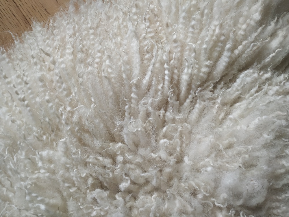 Felted-fleece, sheep-friendly, “sheepskin” rug – natural cream - Scotch Mule hog fleece - 33” x 21” - Image 4