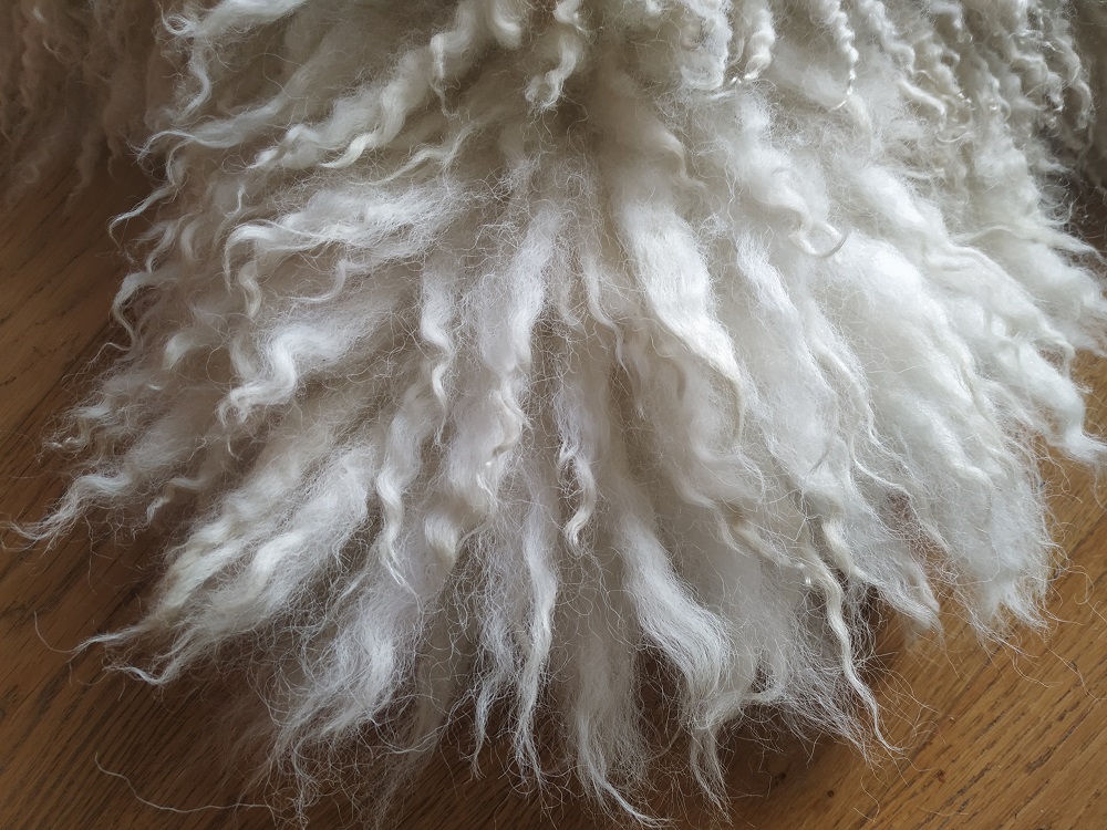 Felted-fleece, sheep-friendly, “sheepskin” rug – natural cream - Scotch Mule hog fleece - 33” x 21” - Image 5