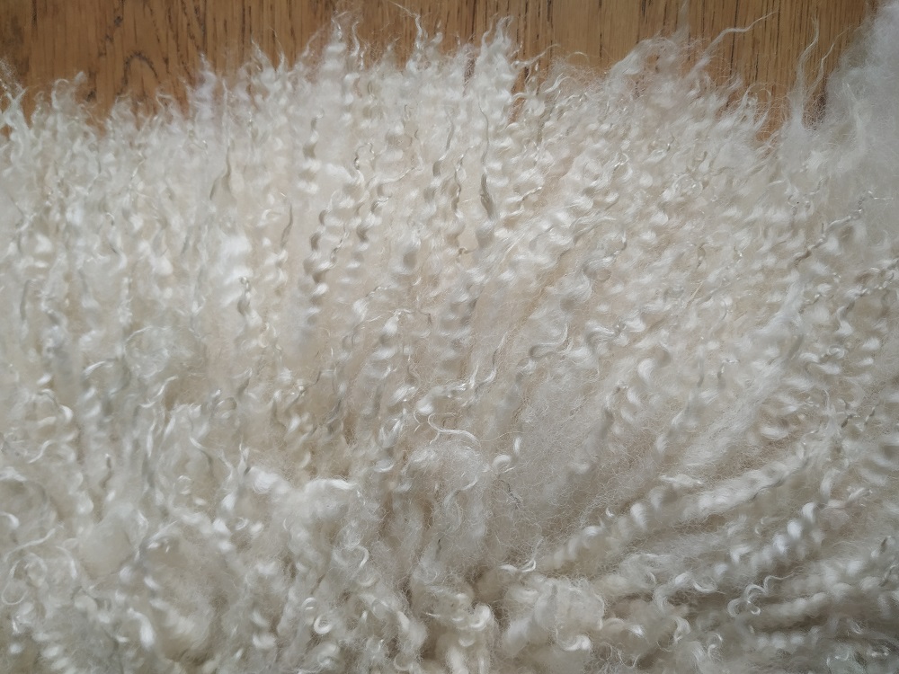 Felted-fleece, sheep-friendly, “sheepskin” rug – natural cream - Scotch Mule hog fleece - 33” x 21” - Image 6