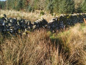 dry stane dyke falling down