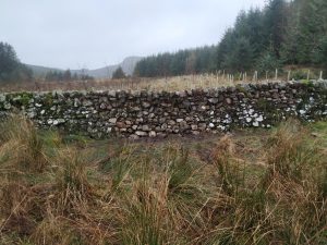 dry stone dyke repaired - front view