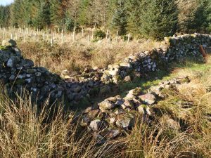 dry stone dyke - section to be repaired