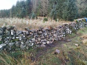 dry stone dyke - big stones on top
