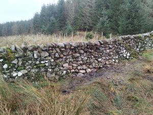 dry stone dyke - repaired