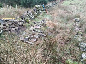 dry stone dyke stones layout