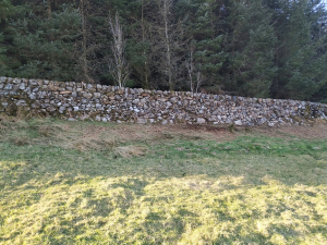 Dry stane dyke repair complete (March 2022)