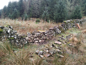 dry stane dyke - up to through stones