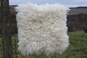 Sheep friendly sheepskin - Swaledale Mule