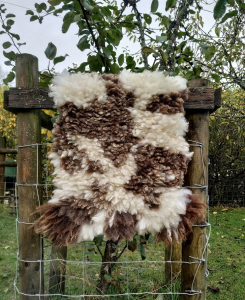 sheep-friendly sheepskin rug - Jacob hog