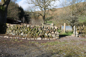Stone dyke at house 4 - other side (October 2018)