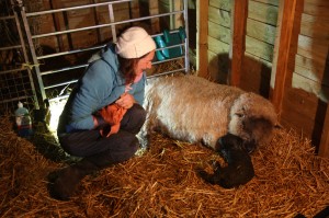 Nicole with Star and Wallace just after birth     